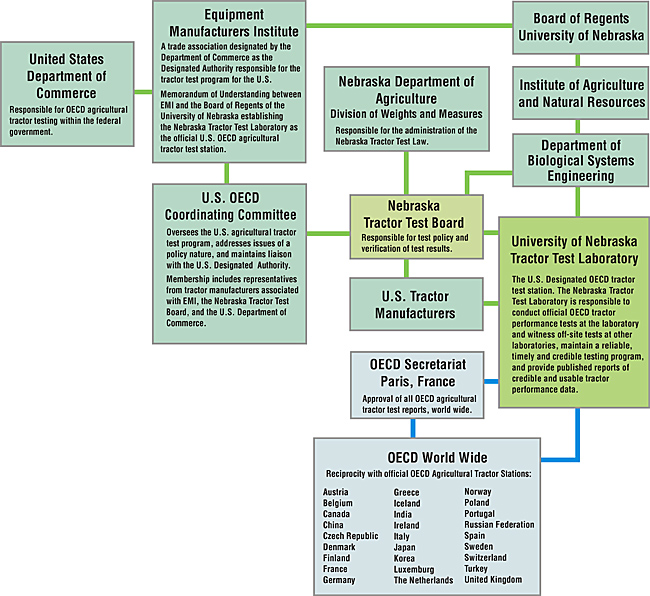 organizational structure of NTTL